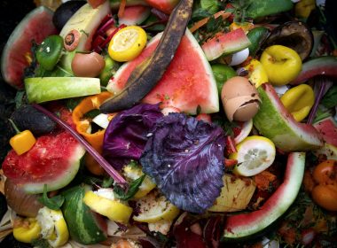 Want to reduce your food waste at home?